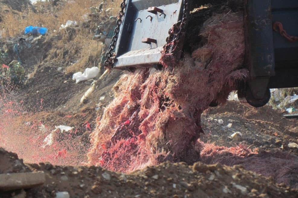 השלכה פיראטית של פסולת פסדים וחלקי עופות באור יהודה. צילום: המשטרה הירוקה, המשרד להגנת הסביבה.
