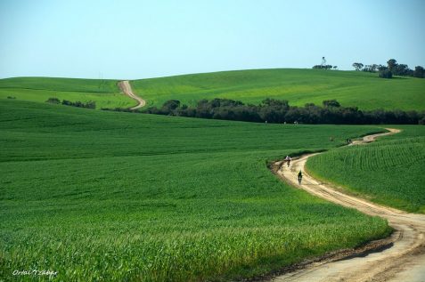 נחל שקמה // צילום: אורטל צבר