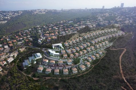 הדמיה שכונת "דניה הירוקה" // אנדו סטודיו