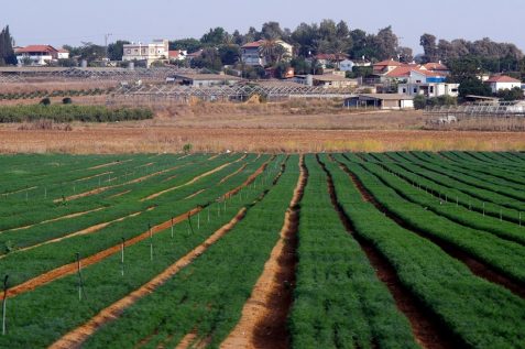 אילוסטרציה // Depositphotos