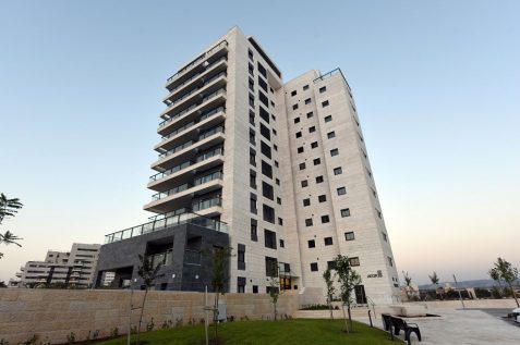 אלמוג החשמונאים מודיעין // צילום: בני ונטורה