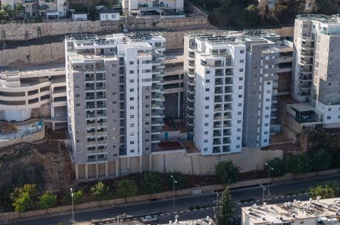 צילום: גריפין
