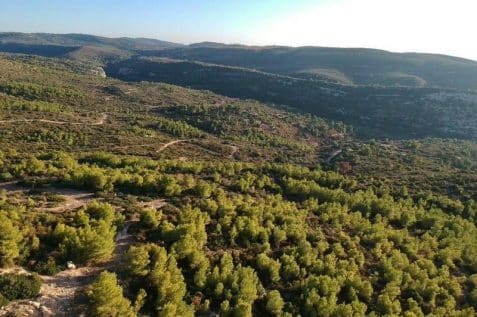 צילום עמותת שומרים על דניה