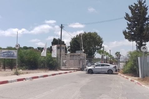 מתחם 24 בראשון לציון // צילום: מגדילים
