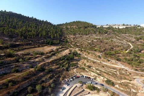 רכס לבן // צילום: דב גרינבלט החברה להגנת הטבע