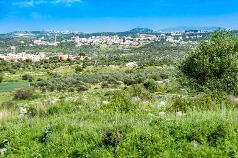 אילוסטרציה // Depositphotos