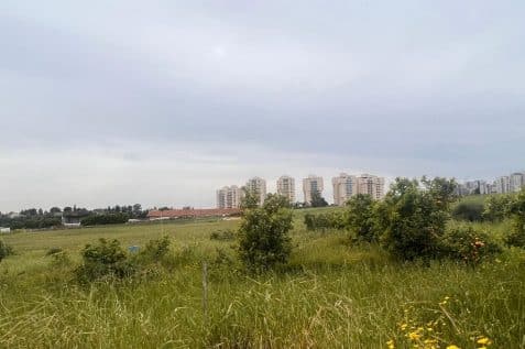 אזור מטרופוליני אונו // צילום: אחישלום אלמוג
