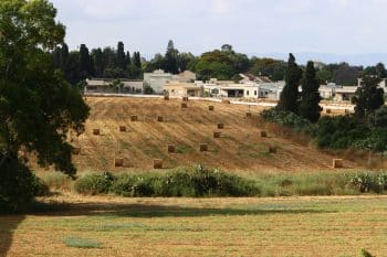 אילוסטרציה // Depositphotos