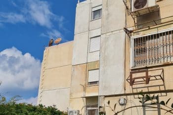 הבניין במתחם הרותם, חיפה // צילום: אוסף פרטי
