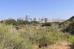 שטחים פתוחים וחקלאיים // צילום: באדיבות דוברות מינהל התכנון