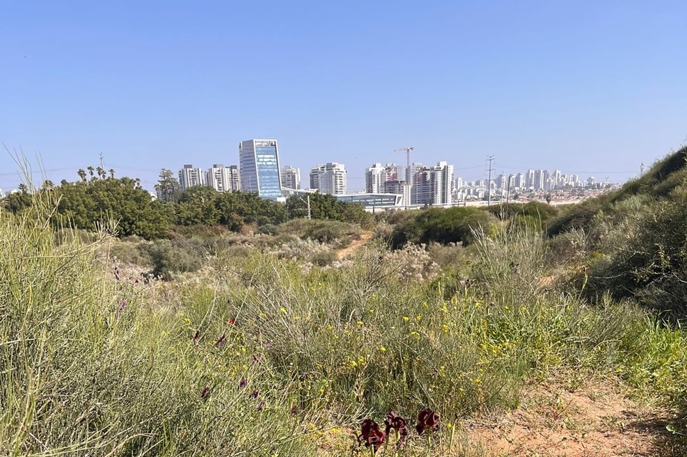 שטחים פתוחים וחקלאיים // צילום: באדיבות דוברות מינהל התכנון